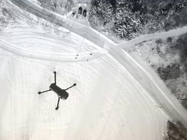 Small Drone Mapping Forest